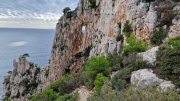 Cassis_22_11-126