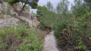 Cassis_22_11-133