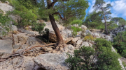 Cassis_22_11-142