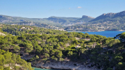 Cassis_22_11-61