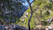 Cassis_22_11-75