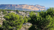 Cassis_22_11-88
