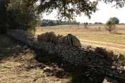 CLARET_LAURET_22_01-7