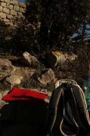 HORTUS_22_01-12