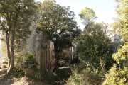 HORTUS_22_01-13