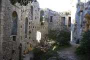 HORTUS_22_01-7