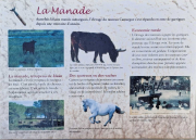 Liquiere_22_11-11