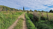 Liquiere_22_11-26
