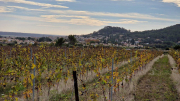Liquiere_22_11-28