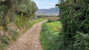Liquiere_22_11-29