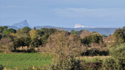 Liquiere_22_11-5