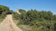 Liquiere_22_11-56