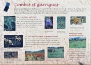 Liquiere_22_11-63