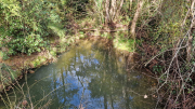 Liquiere_22_11-78