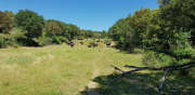 MONTOULIEU_22_05-17