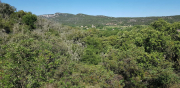 MONTOULIEU_22_05-2