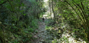 MONTOULIEU_22_05-6