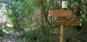 MONTOULIEU_22_05-7