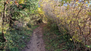 Vezenobres_22_11-13