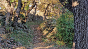 Vezenobres_22_11-17