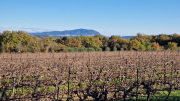 Vezenobres_22_11-18