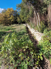 Vezenobres_22_11-59