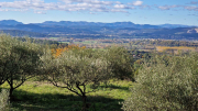 Vezenobres_22_11-61