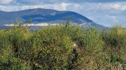 Vezenobres_22_11-67