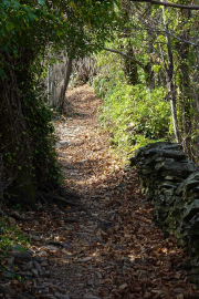 ANJEAU_22_03-11