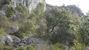 ANJEAU_22_03-50