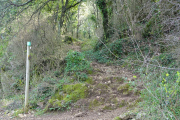 ANJEAU_22_03-59