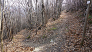 ANJEAU_22_03-6