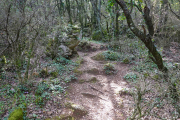 ANJEAU_22_03-60