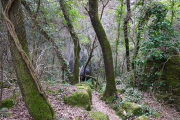 ANJEAU_22_03-61