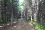 ANJEAU_22_03-68