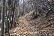 ANJEAU_22_03-7