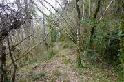 ANJEAU_22_03-74