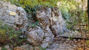 Bueges_22_12-102