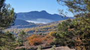 Bueges_22_12-17