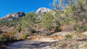 Bueges_22_12-18