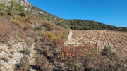 Bueges_22_12-19