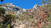Bueges_22_12-20