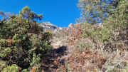 Bueges_22_12-21