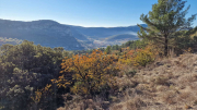 Bueges_22_12-22