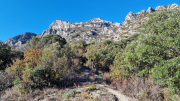 Bueges_22_12-23