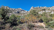 Bueges_22_12-24