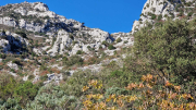 Bueges_22_12-25