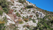 Bueges_22_12-26