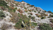 Bueges_22_12-27