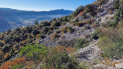 Bueges_22_12-29